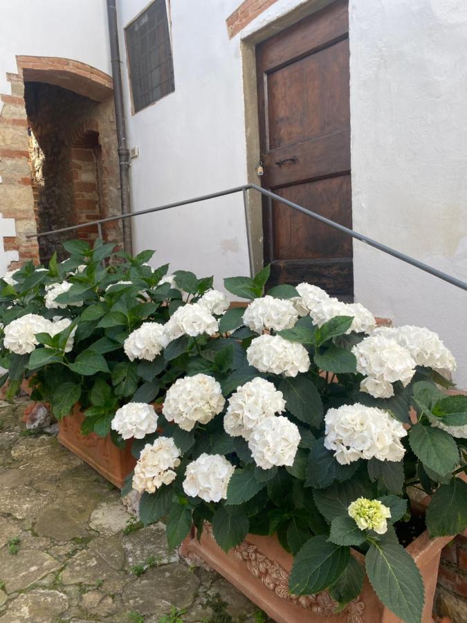 Gavene Hotel Villamagna  Exterior photo